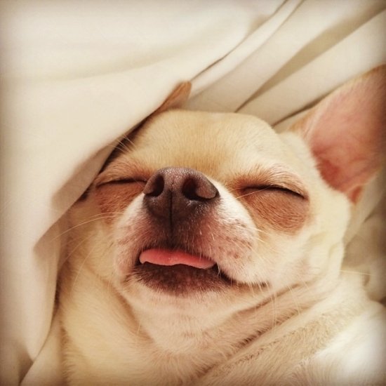 Алексей Чадов