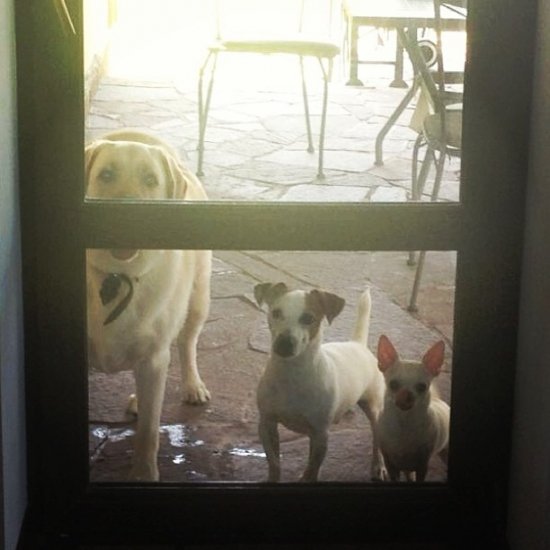 Алексей Чадов