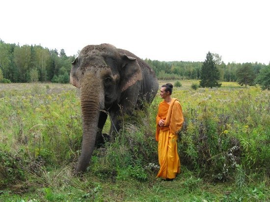 Алексей Франдетти