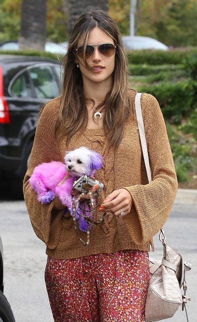 Алессандра Амбросио