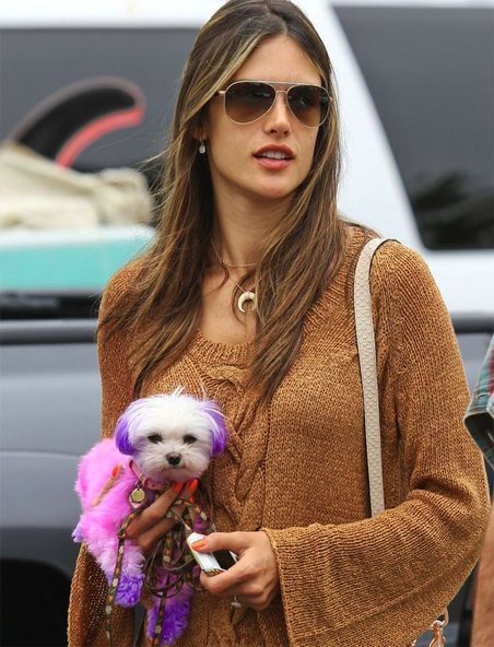 Алессандра Амбросио