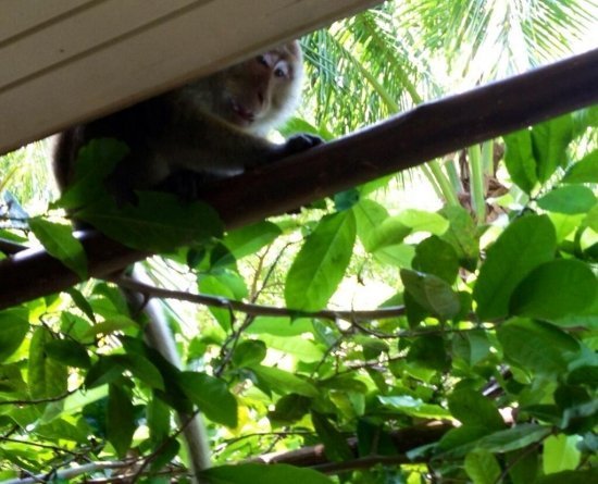 Анастасия Волочкова