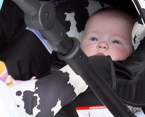 Анна Пакуин