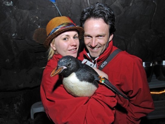 Анна Пакуин и Стивен Мойер