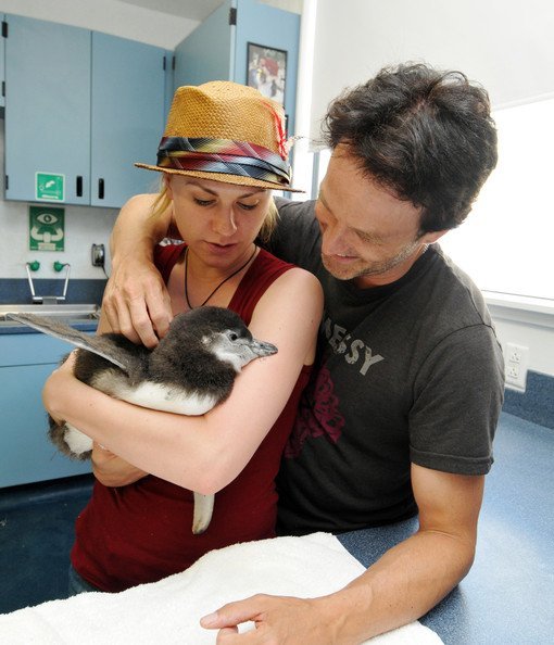 Анна Пакуин и Стивен Мойер