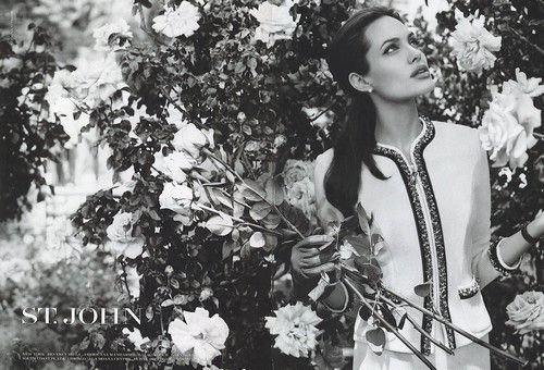 Анжелина Джоли для St. John