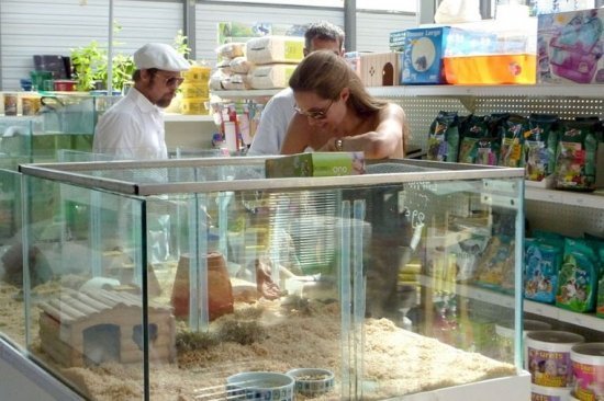 Анжелина Джоли и Брэд Питт