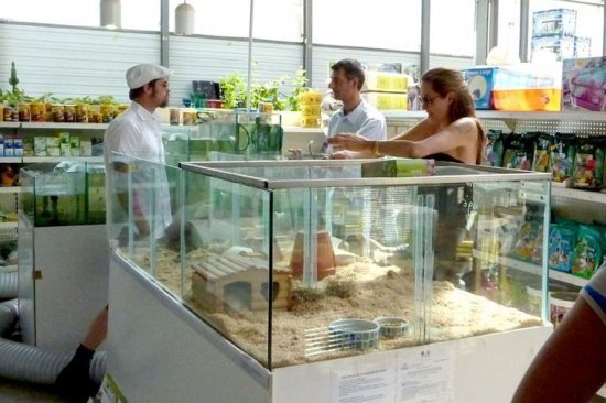 Анжелина Джоли и Брэд Питт