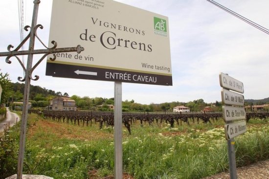 Анжелина Джоли и Брэд Питт