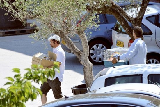 Анжелина Джоли и Брэд Питт