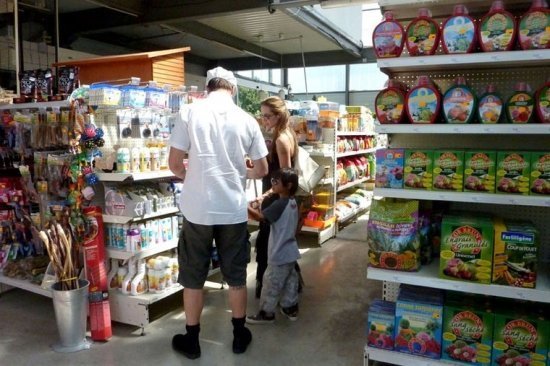 Анжелина Джоли и Брэд Питт