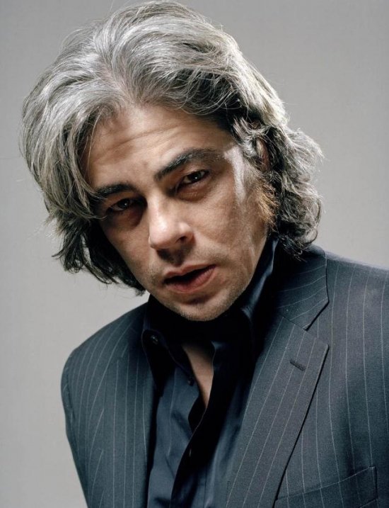 Бенисио Дель Торо