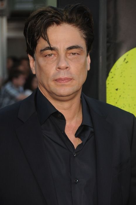 Бенисио Дель Торо