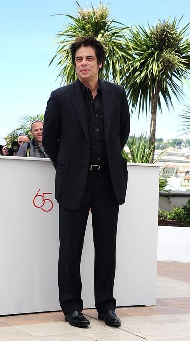 Бенисио Дель Торо