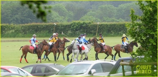 британские принцы