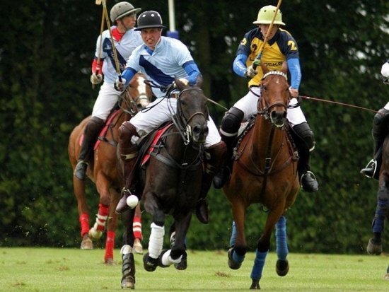 британские принцы