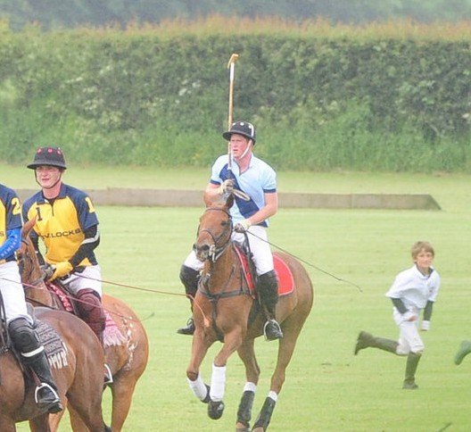 британские принцы