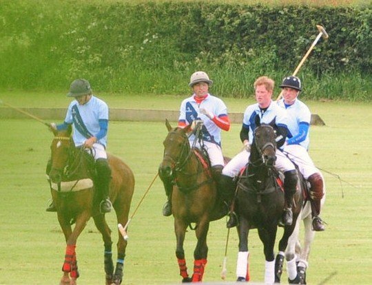 британские принцы