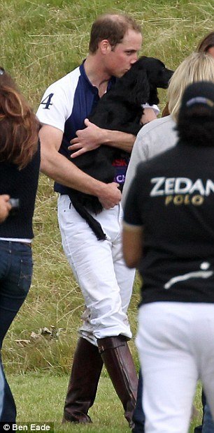 британские принцы