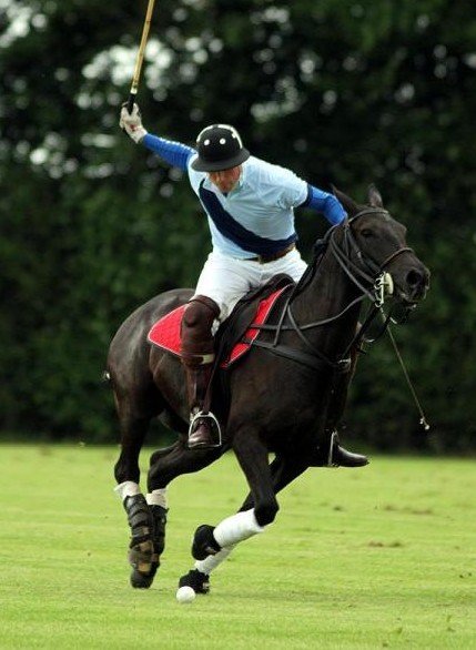 британские принцы