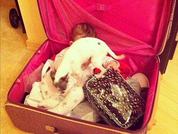 Чемодан Чеховой