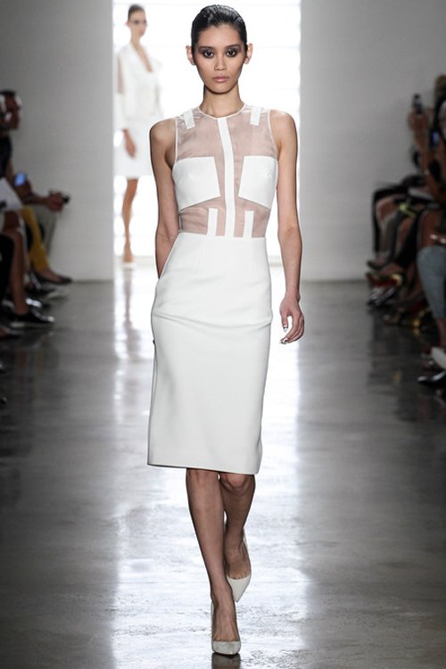 Cushnie et Ochs