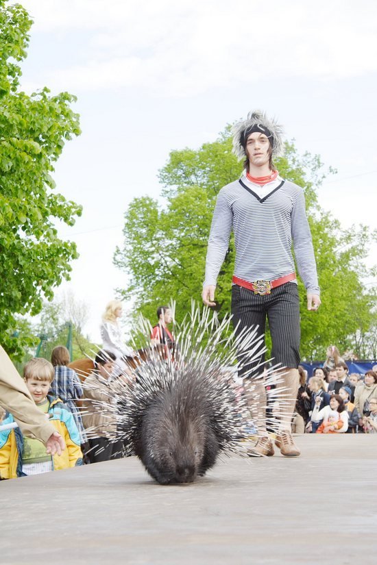 Defile.zoo в Петербурге