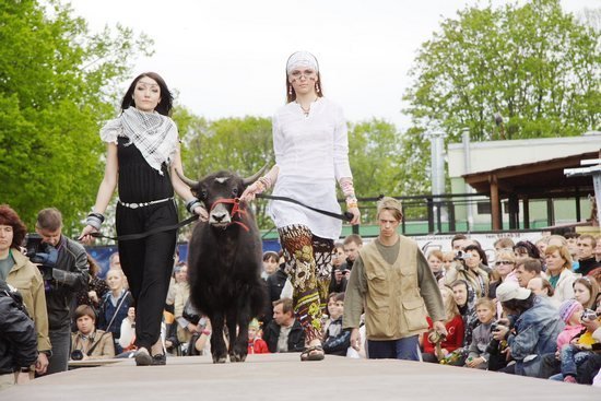 Defile.zoo в Петербурге