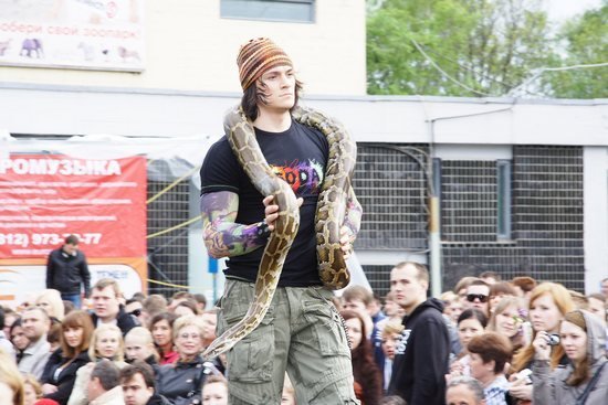 Defile.zoo в Петербурге