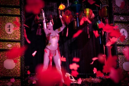 Дита фон Тиз