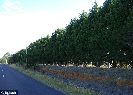 дом Николь Кидман