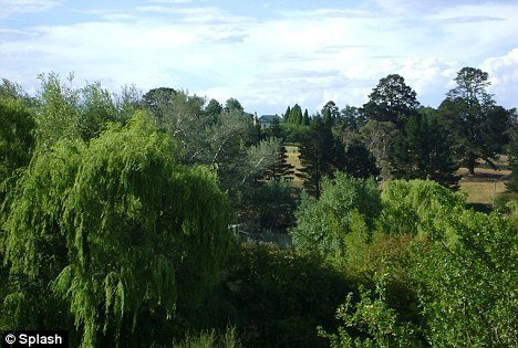 дом Николь Кидман