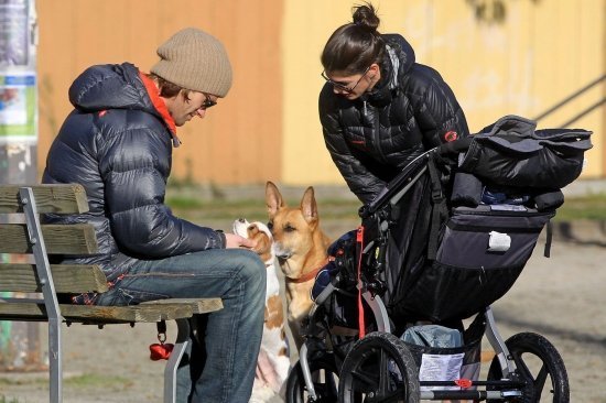 Джаред Падалеки