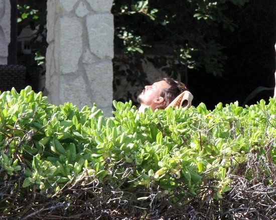 Джонни Депп