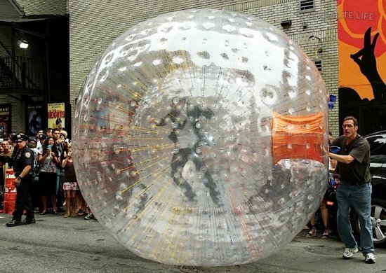 Джозеф Гордон-Левитт