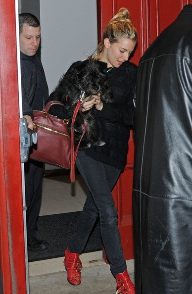 Джуд Лоу и Сиенна Миллер