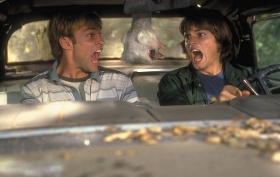 Эштон Кутчер