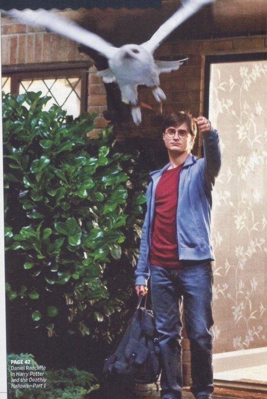 Гарри Поттер