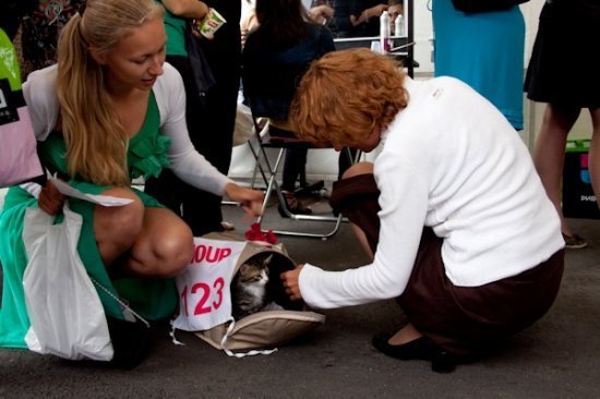 Glamour. Забег на шпильках