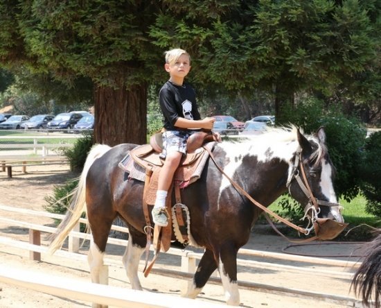 Гвен Стефани