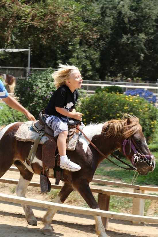 Гвен Стефани