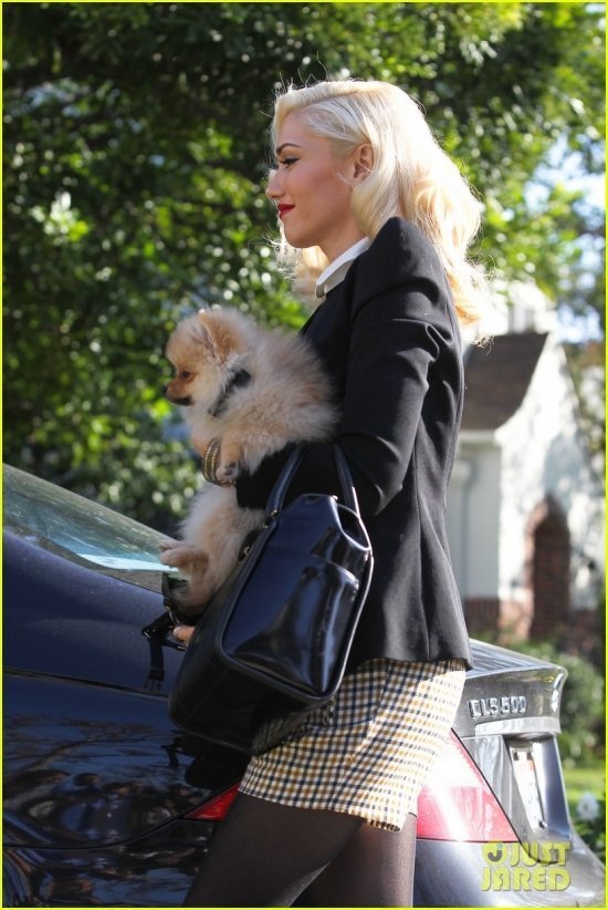 Гвен Стефани