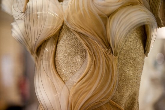 Ирис ван Херпен