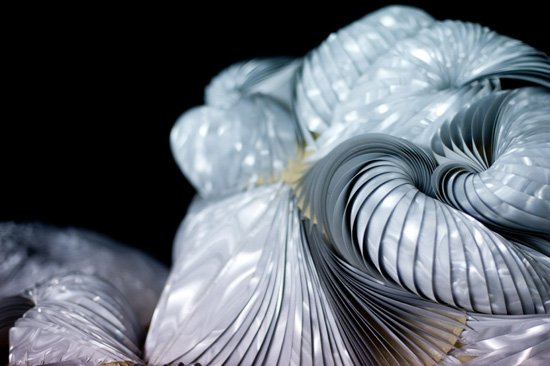 Ирис ван Херпен