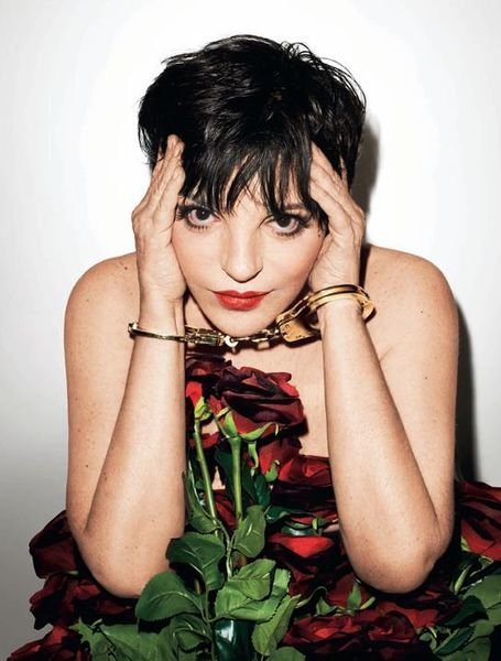 Лайза Миннелли