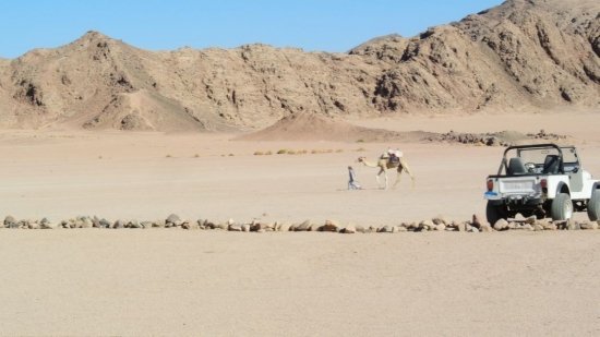 Лена Катина