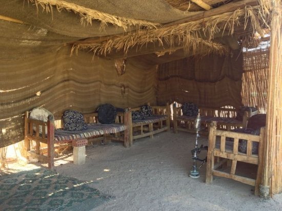 Лена Катина