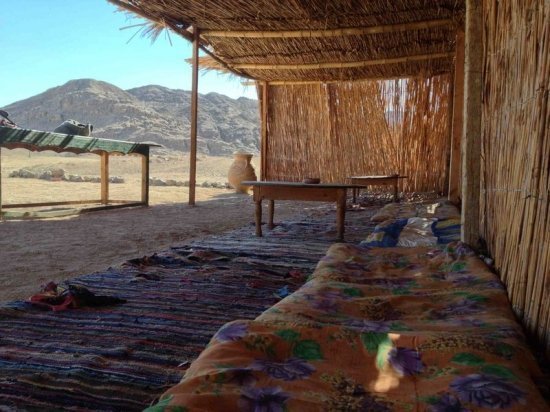 Лена Катина