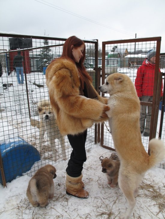 Лена Князева