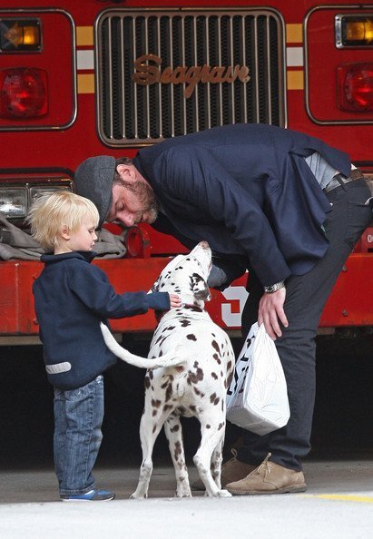 Лив Шрайбер